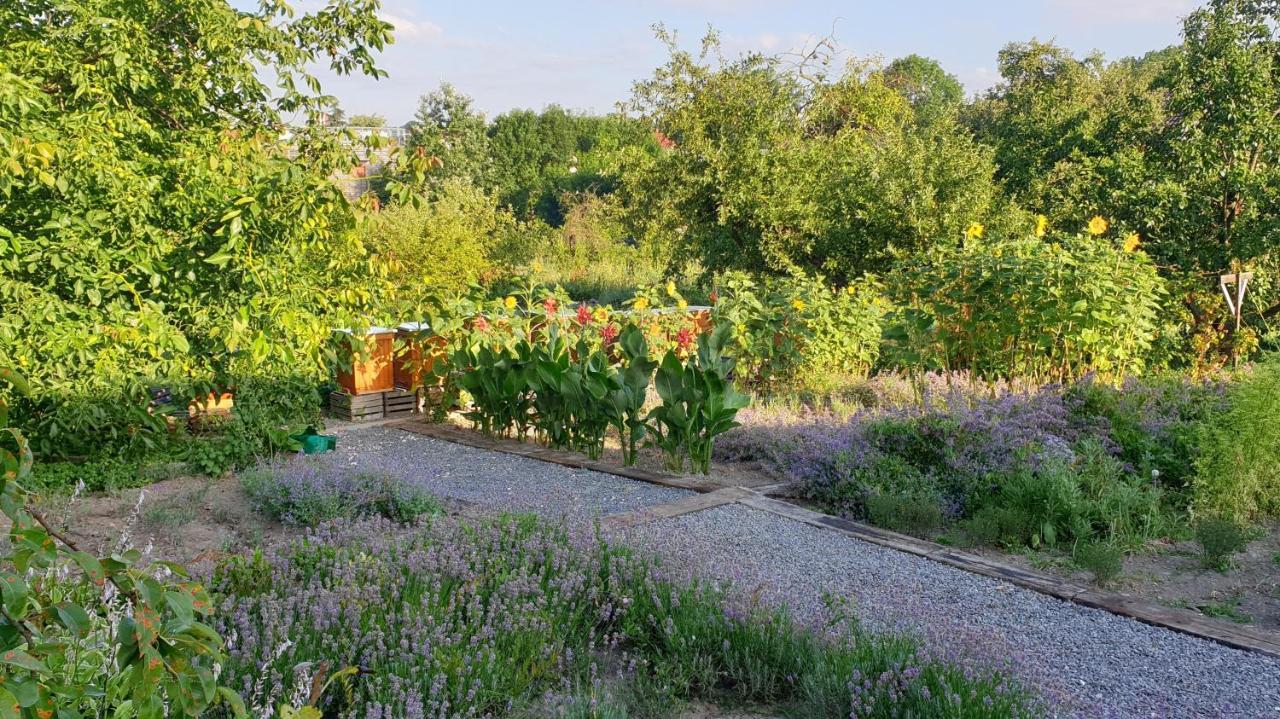 Agroturystyka U Joli Pacanow Esterno foto